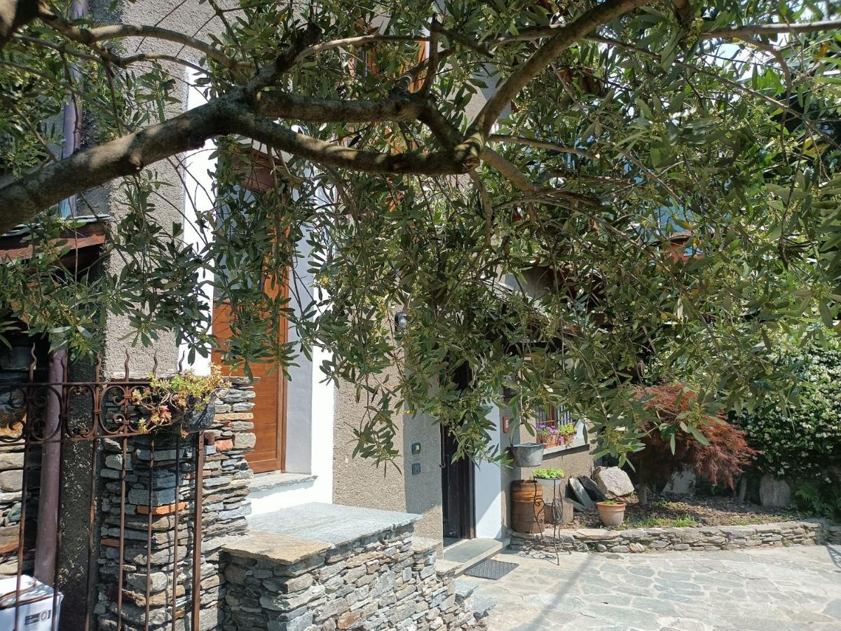 Rosina House E Chalet Colico Exterior foto
