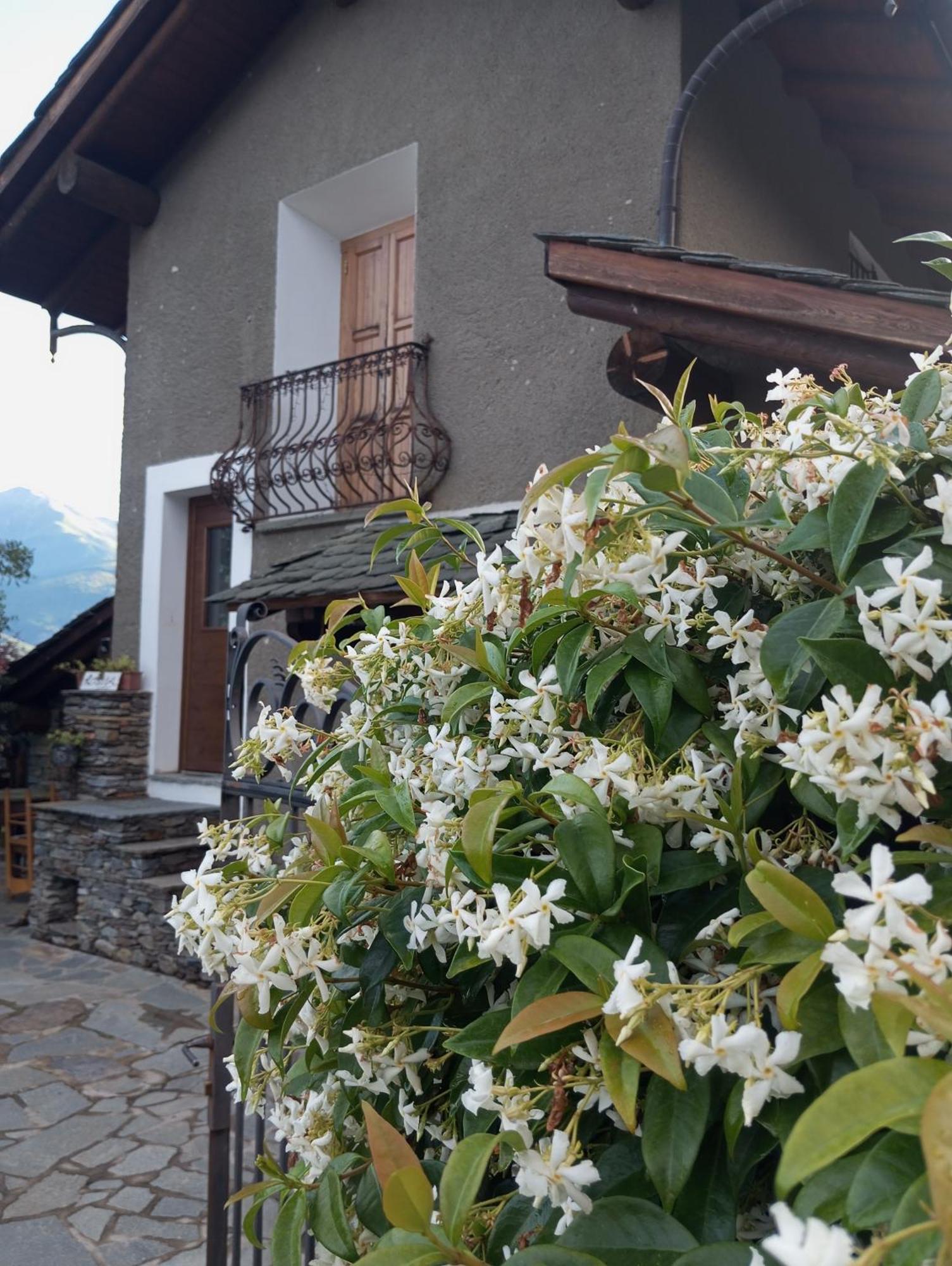 Rosina House E Chalet Colico Exterior foto
